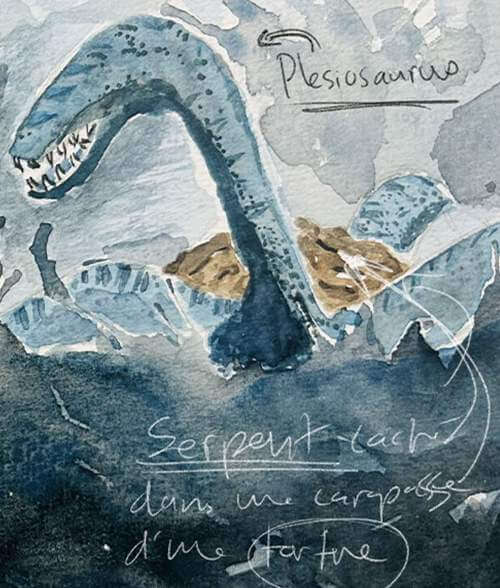 © Frédéric Ellis