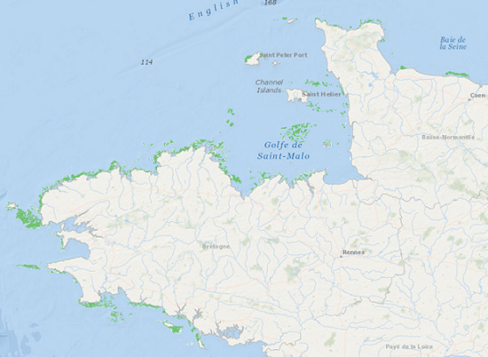 La carte du Kelp en Bretagne