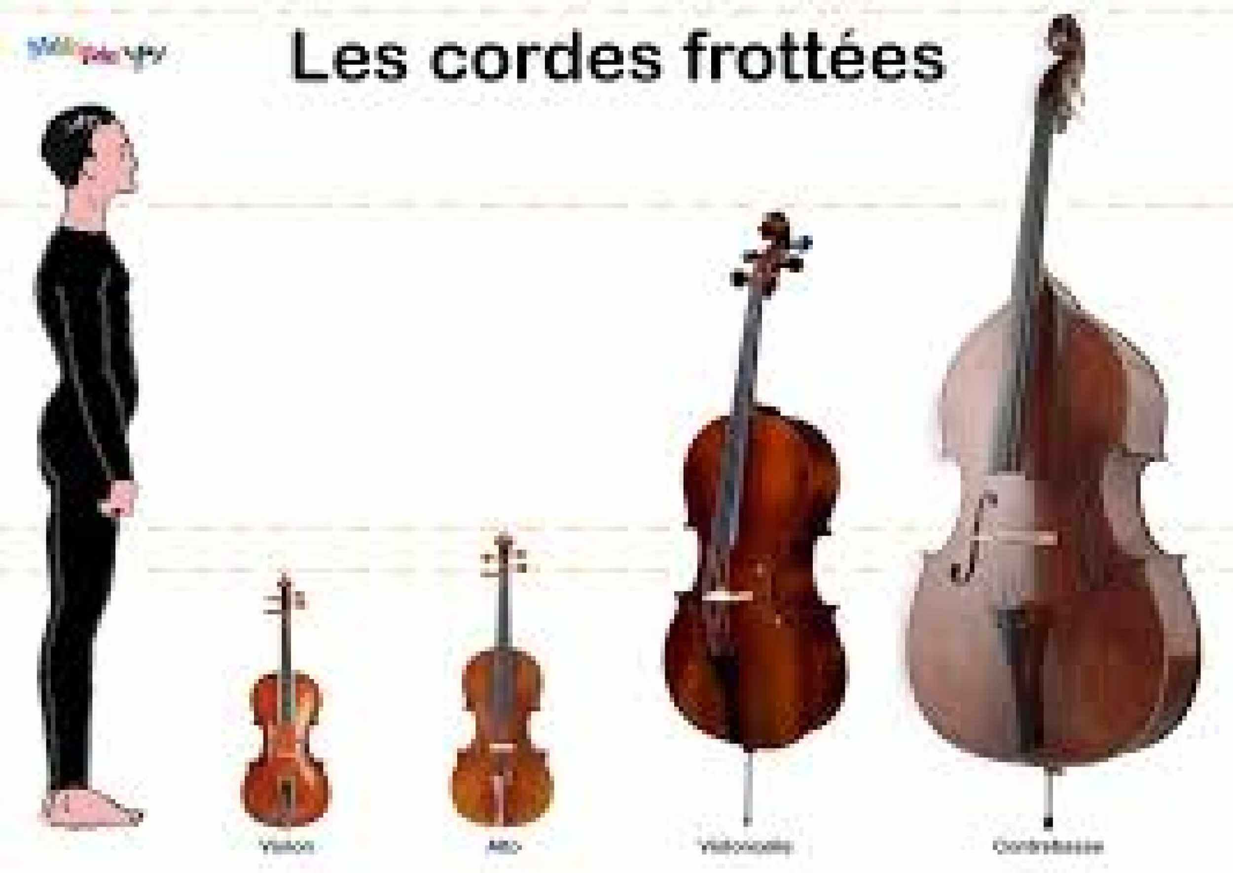 Les-cordes-frottées