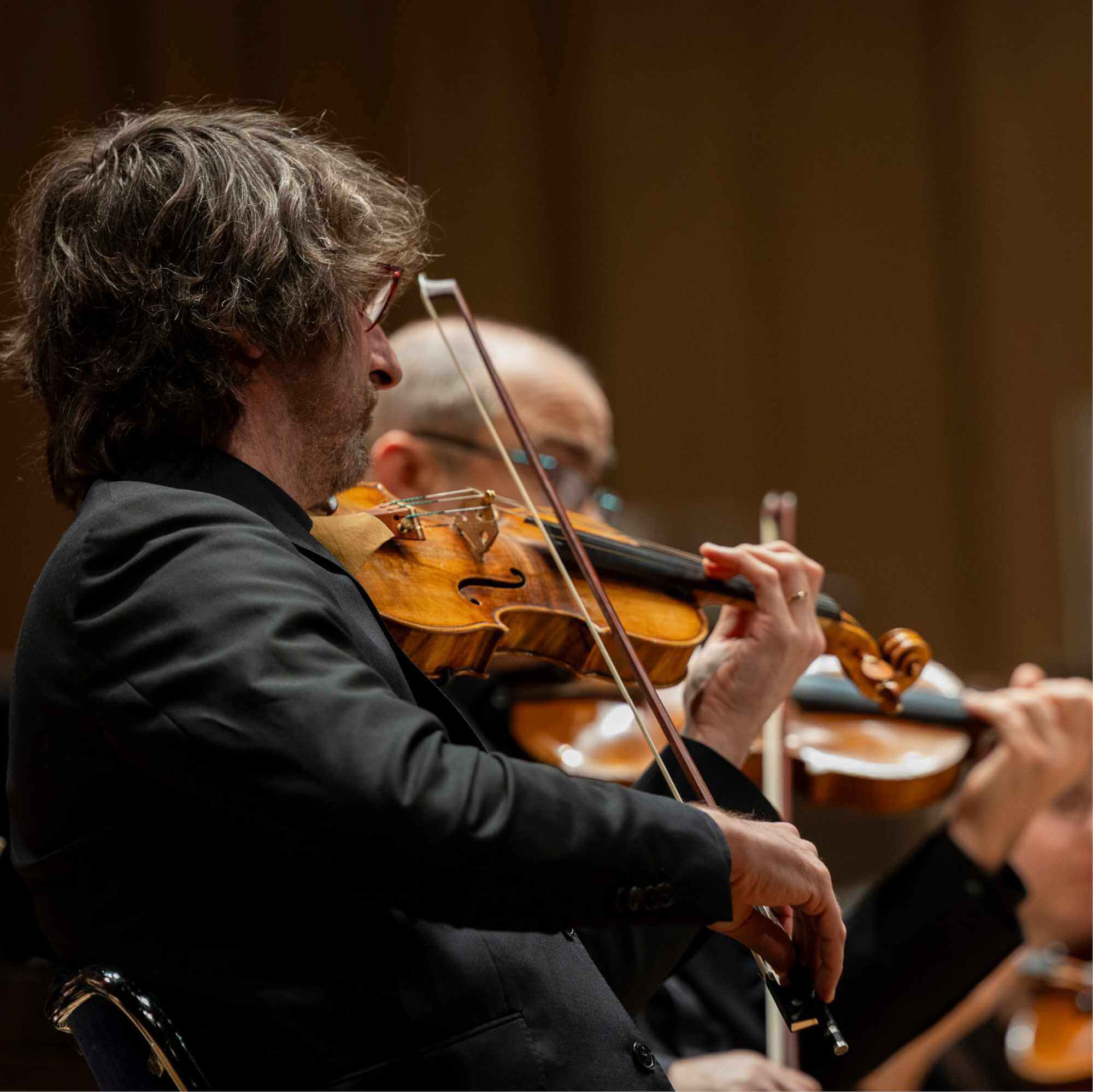 violon