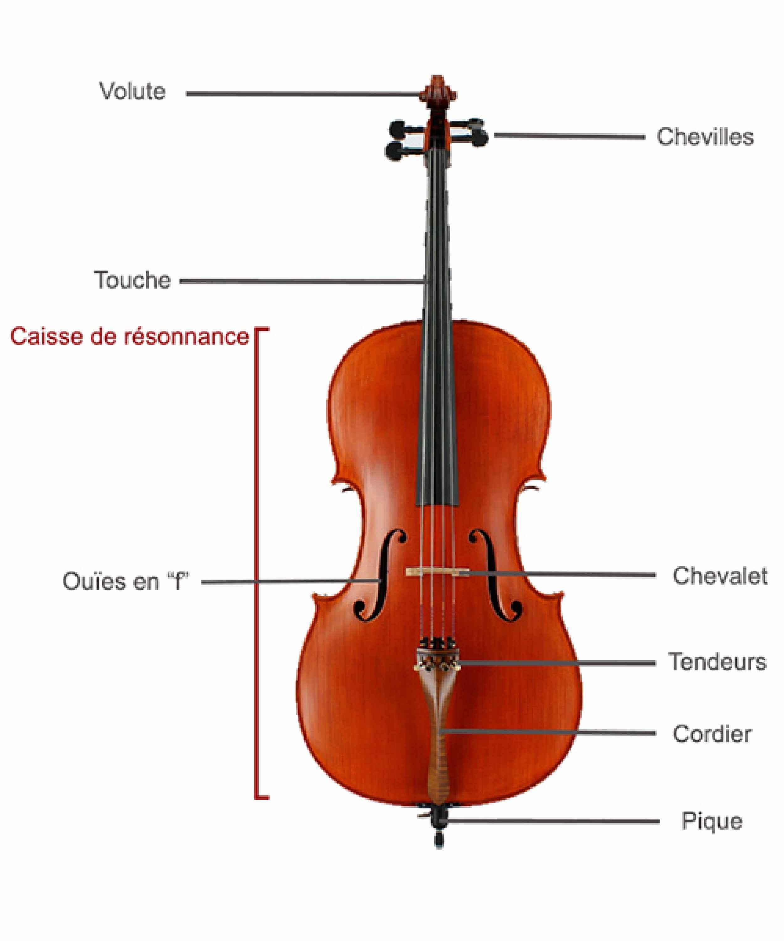 violoncelle